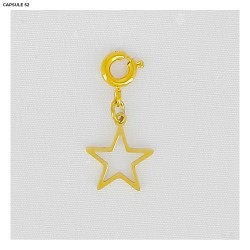 Charms Signe Astrologique